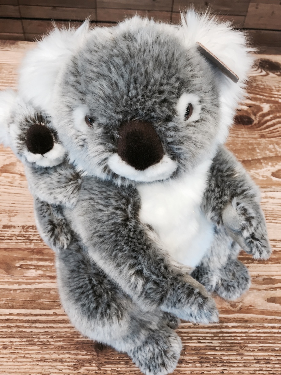 Koala Plüschtier und Familieneintritt in den Zoo Zürich