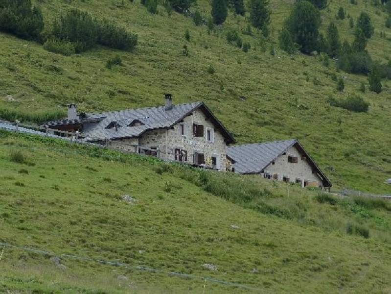 Besuch Alpsennerei / Visita in Praditschöl