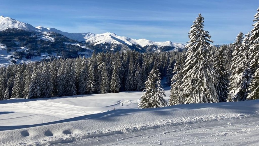 Ersatz Kinderskilift am Skilift Pany