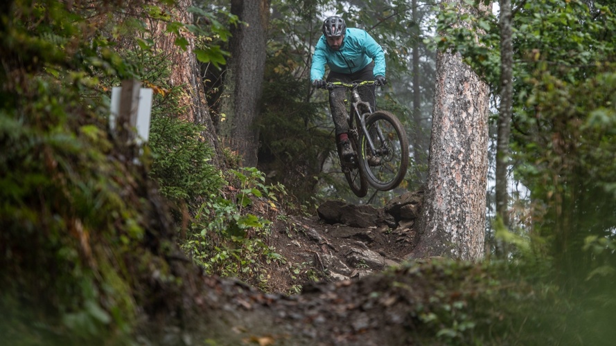 Biketrail Höckler am Uetliberg