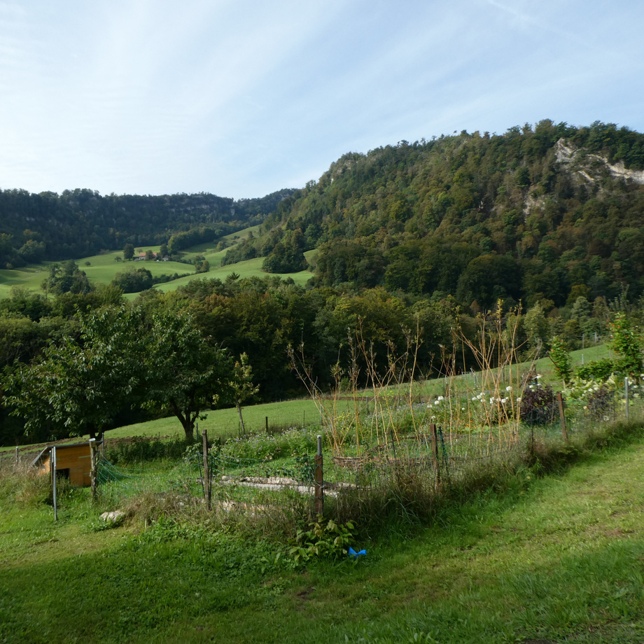 Geführter Hofbesuch mit Znüni
