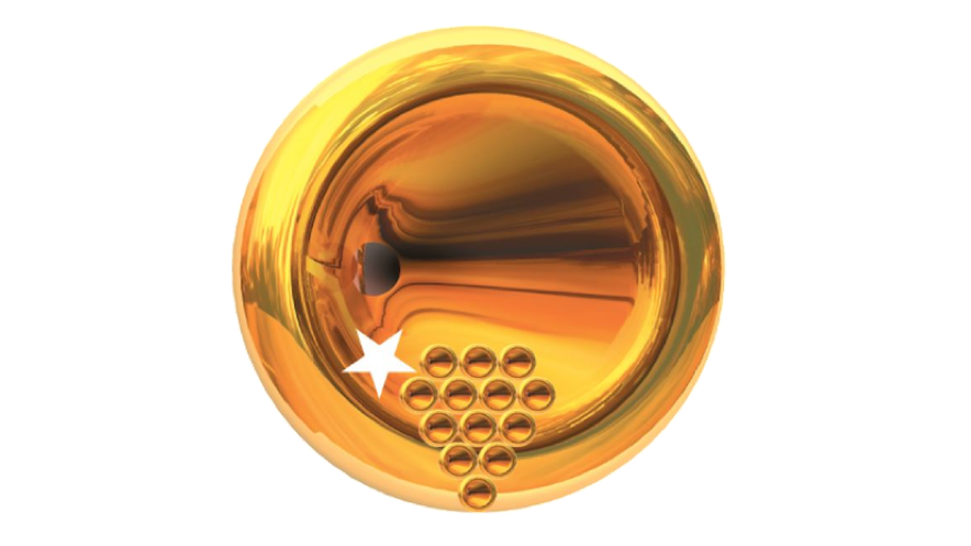 Concert virtuel de la Concordia Vétroz