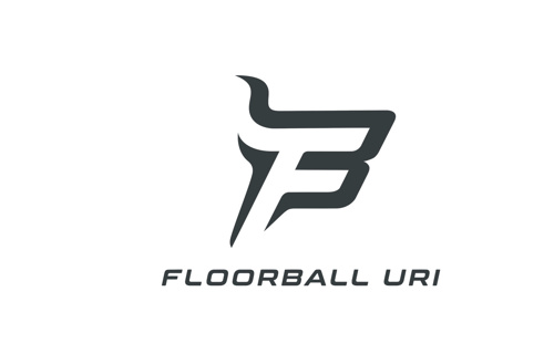 Bau Sporthalle in Silenen