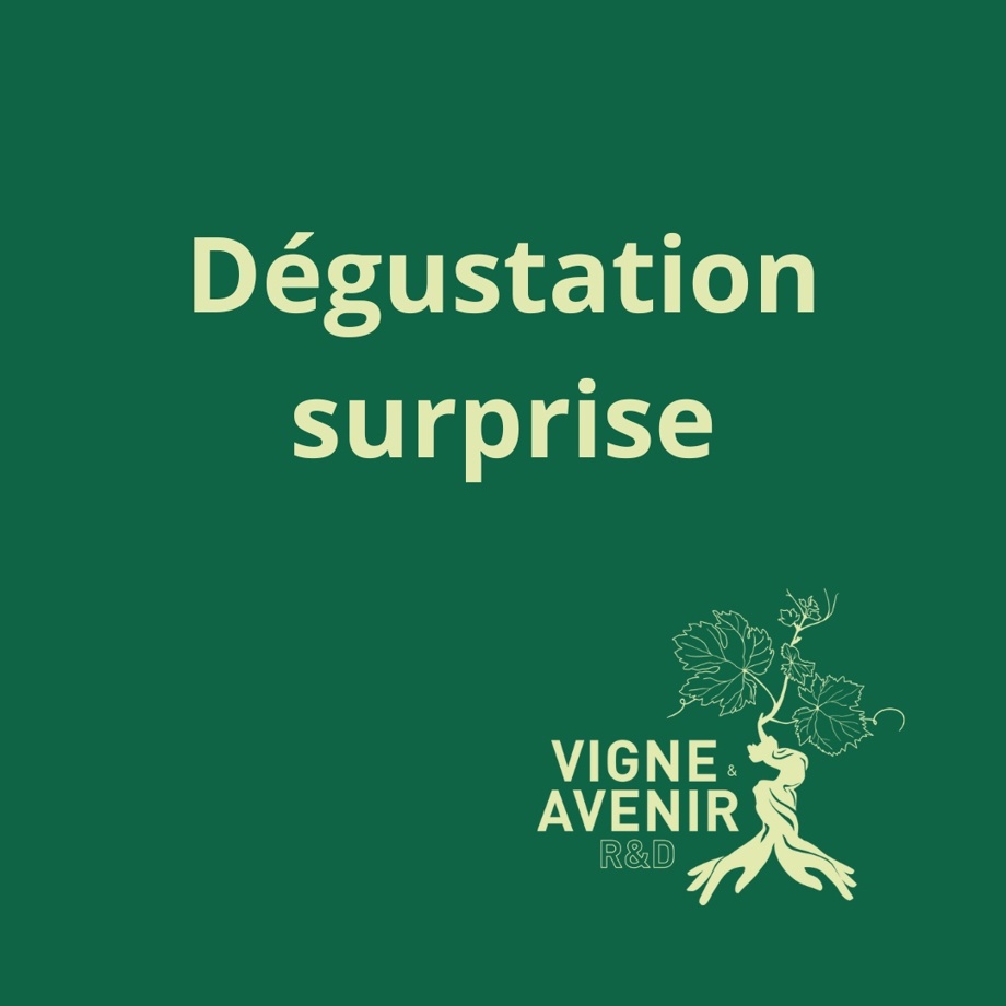 Dégustation surprise