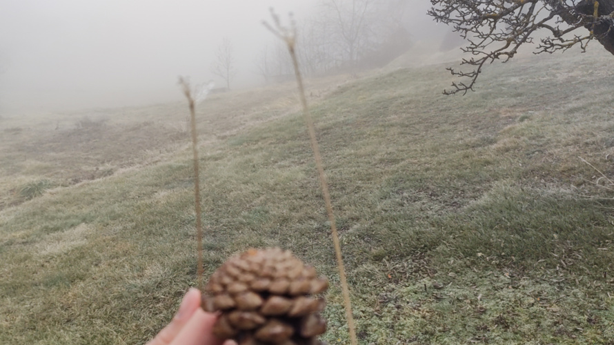 Construction lieu de repli