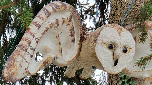 Verein Kunstbuch Regula Kaeser-Bonanomi