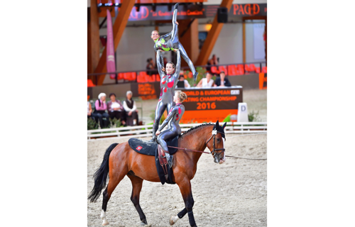 Une nouvelle infrastructure pour l'écurie de Montmirail