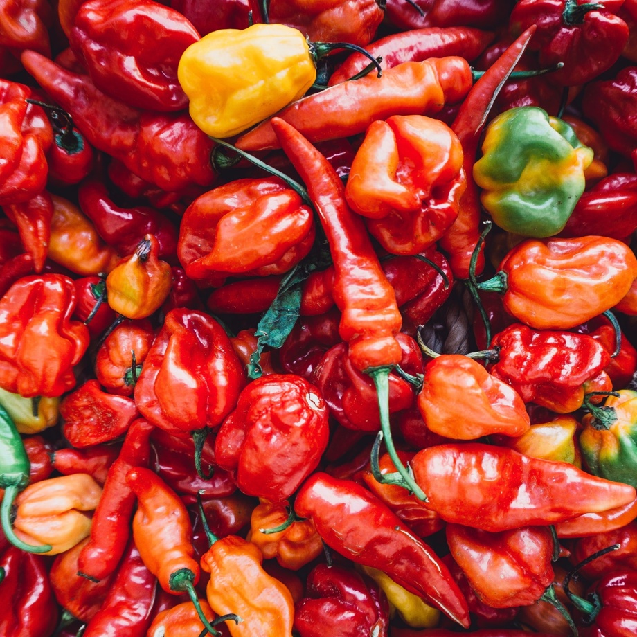 SPICE UP YOUR LIFE - CHILI-SET VON EMILIE