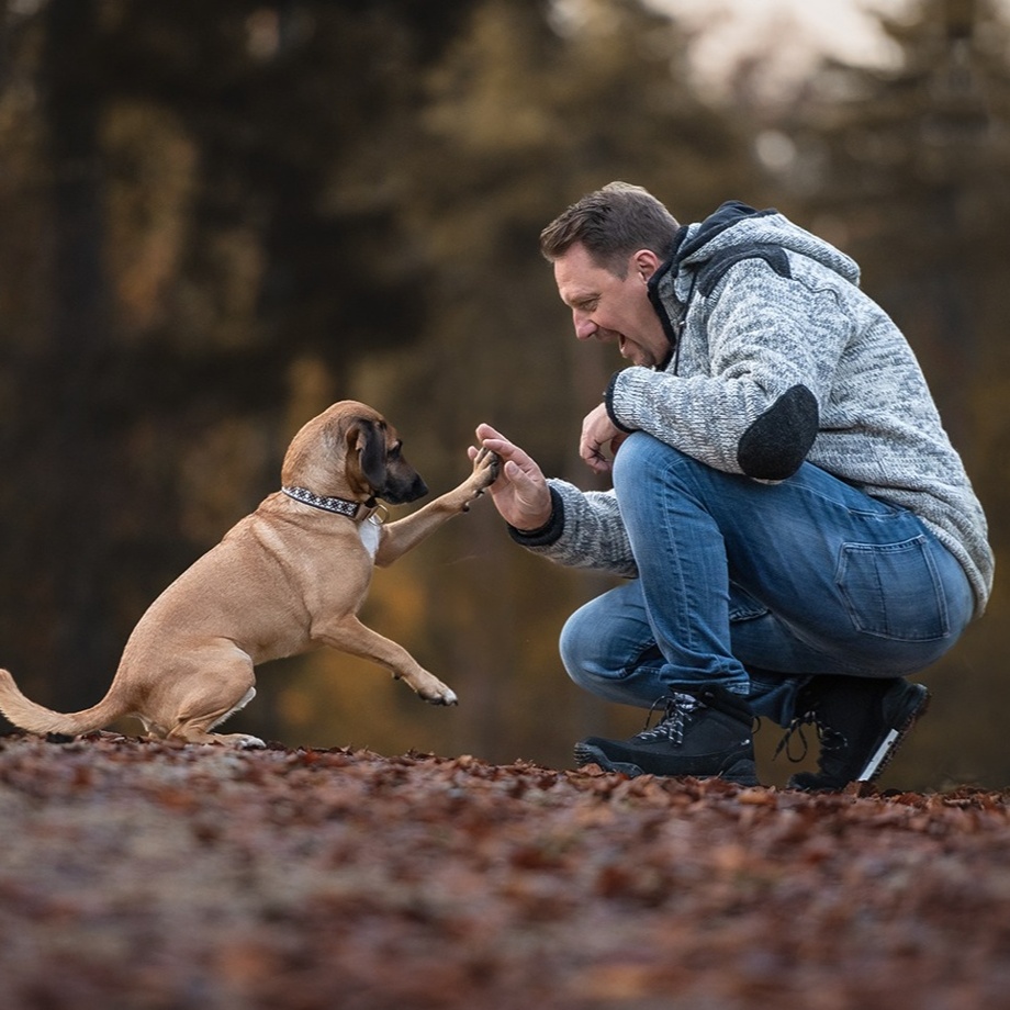 Grusskarte mit Original Pfotenabdruck eines unserer Suchhunde