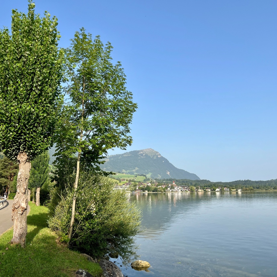Persönliche Führung auf dem Baumweg
