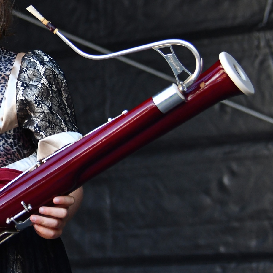 Concert privé de basson