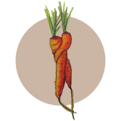 Genossenschaft die frischlinge