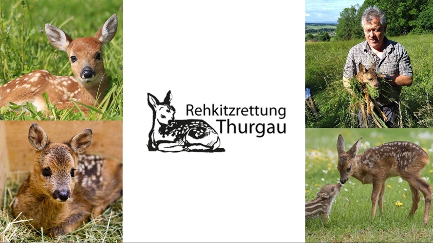 Mähtod vermeiden durch Technik (Drohne)