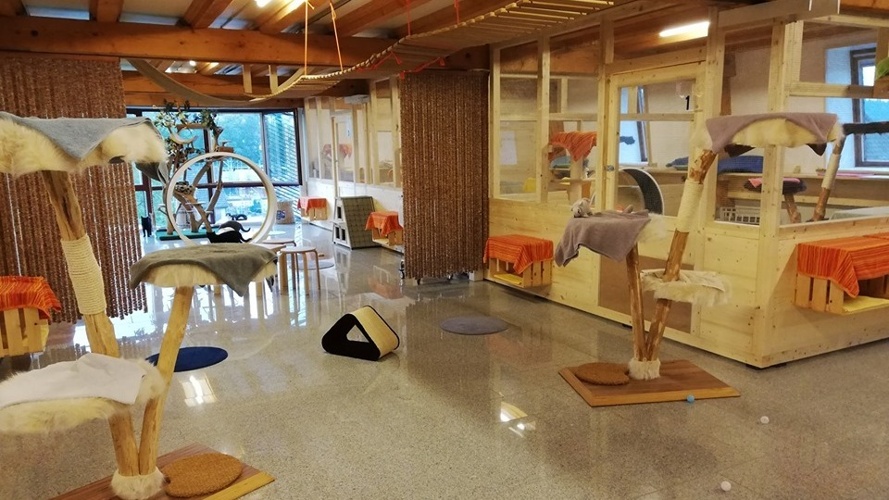 Katzenpension und Katzenheim Cats Land