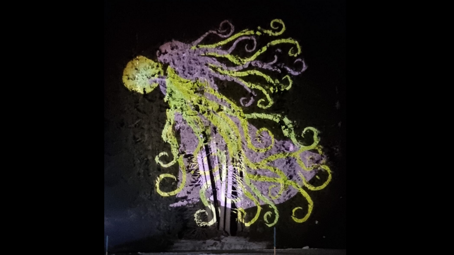 Faszinaziun Lichterwald