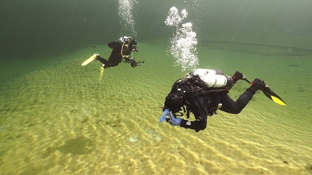 Tauchclub Wasserfrösche Basel