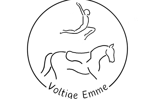 Voltige Team Emme - Anschaffung eines Racewood-Movies