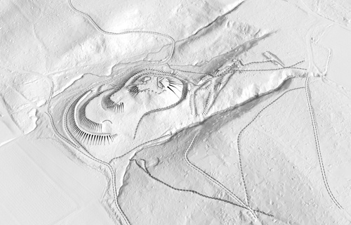 Verein "Pro Fenis Hasenburg"