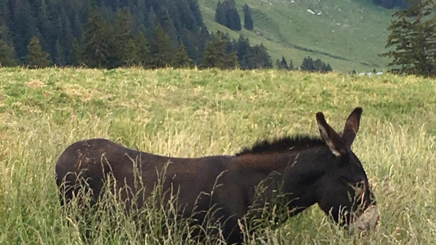 Jeunes et montagne en difficultés