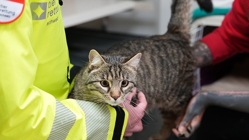 Stiftung Tierrettungsdienst