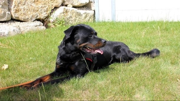 Refuge de Cottendart