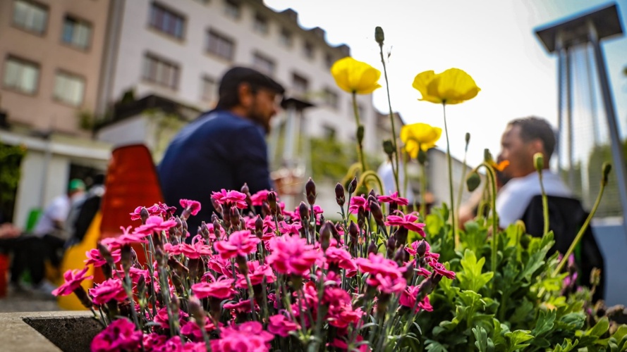 VibezBar braucht dich!