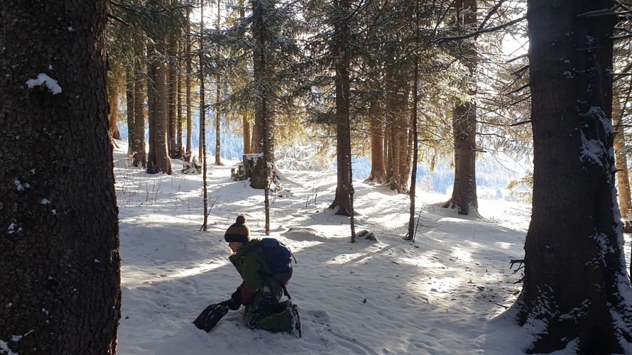 Ein neues Büssli für die Waldkinder – Hilf uns entdecken!