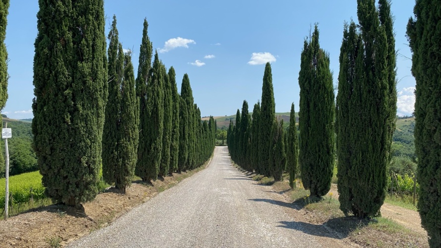 Bari - Santa Maria di Leuca à pieds