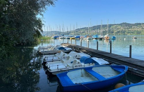 Neue Pedalos für das Arbeiterstrandbad Tennwil