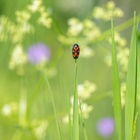 Wir haben’s geschafft – das Projekt kommt zustande! Danke euch!