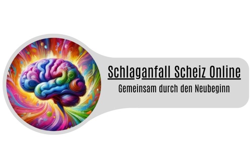 Schlaganfall Schweiz Online