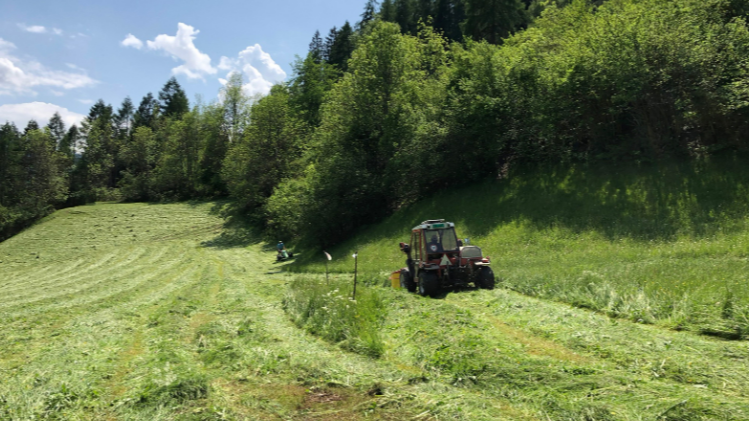 Herzensangelegenheit Rehkitzrettung