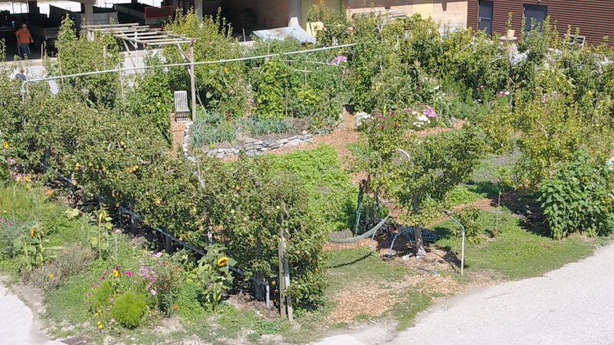 Les Mains Vertes: Jardin  d'insertion sociale