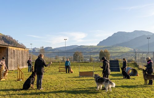 Zukunft des Hundesportplatzes KV Wolhusen sichern