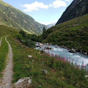 Besuch Alpsennerei Val Russein und ein Wanderbuch