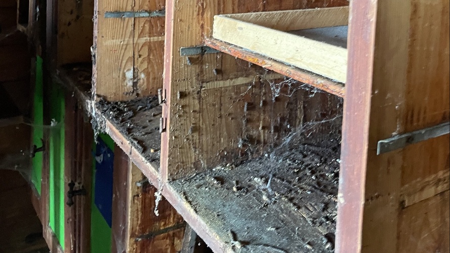 Sanierung Bienenhaus