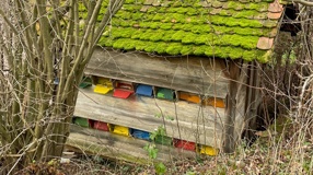 Sanierung Bienenhaus