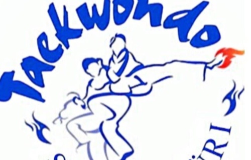 Taekwondo Squad Züri