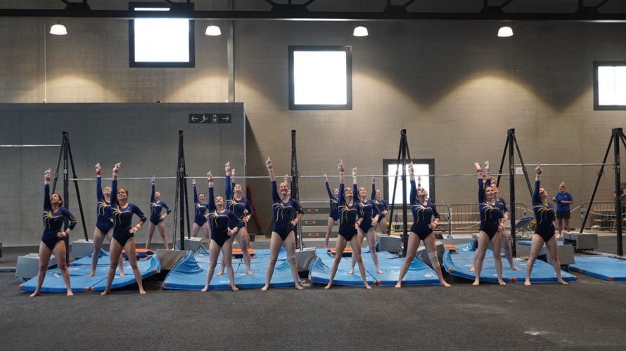 Neue Turndressli für den DTV Wölflinswil