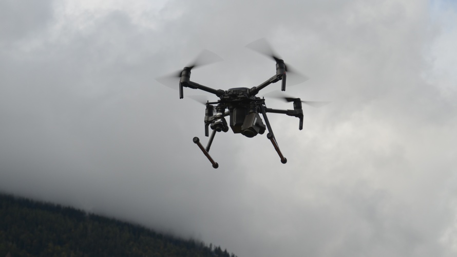 Drohnensuche für Tiere