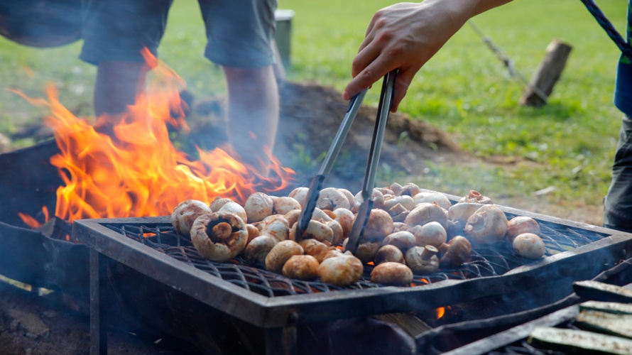 Zelte und Küchengegenstände für Zeltlager