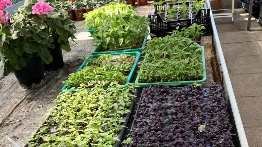 Für mehr Biodiversität – und neue Zukunftschancen