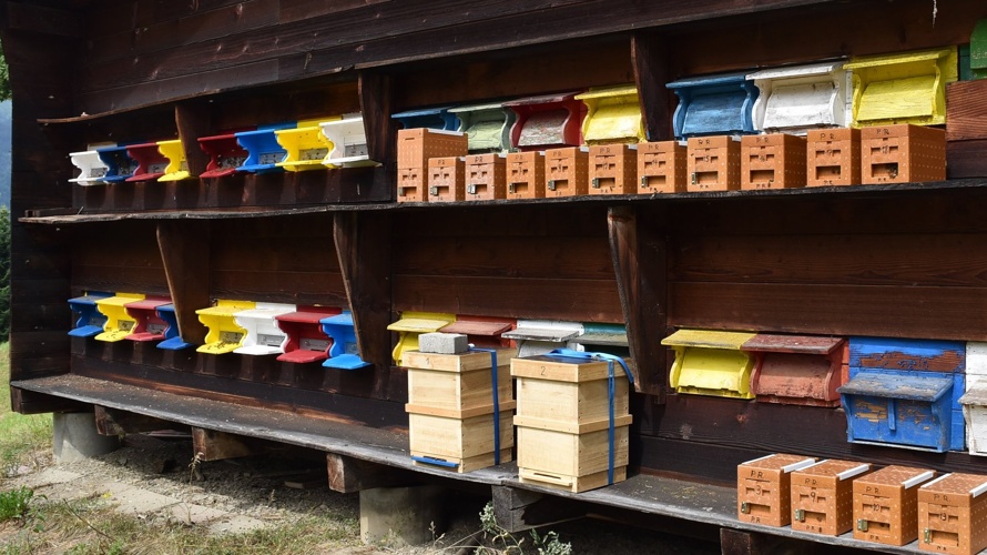 Erweiterung Lehrbienenstand