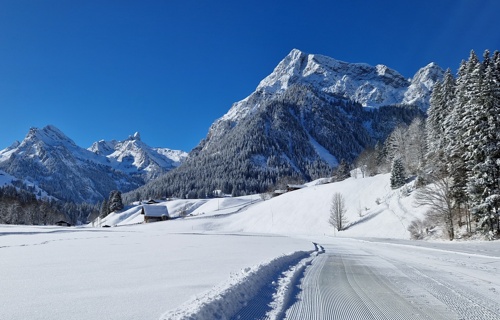 Loipe Diemtigtal