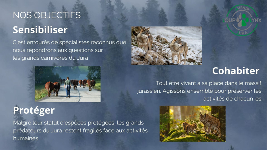 Le loup, entre projections et réalités scientifiques