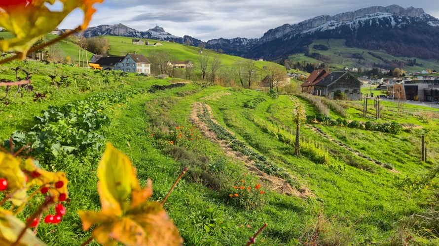 Verein "Der Kulturgarten" Appenzell