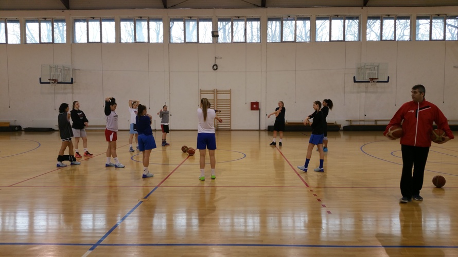 Spitzenbasketball für die Zentralschweiz