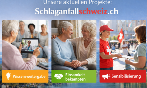 Schlaganfall Schweiz – Wissen. Hilfe. Vernetzung