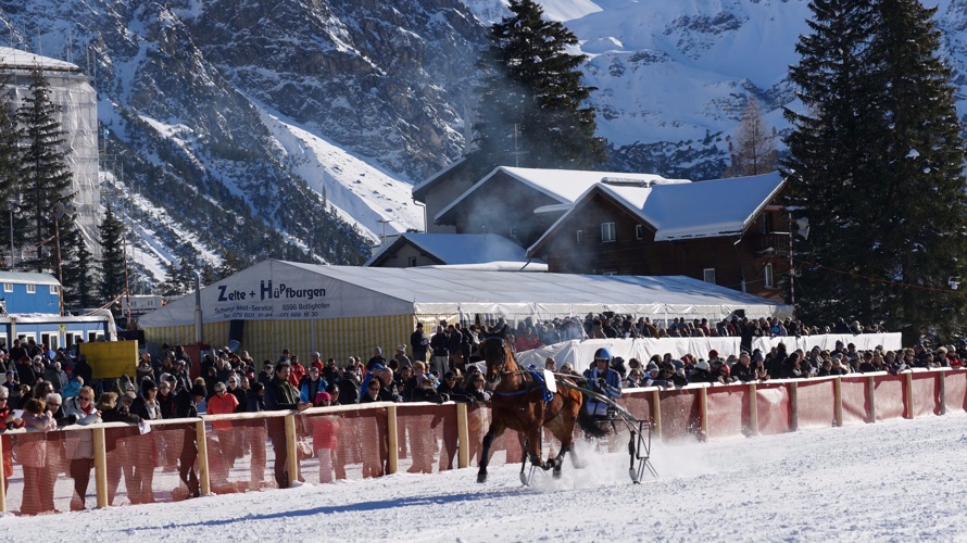 Helft mit, die Pferderennen Arosa zu retten!