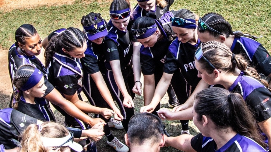 Erster Softball Europacup in der Schweiz